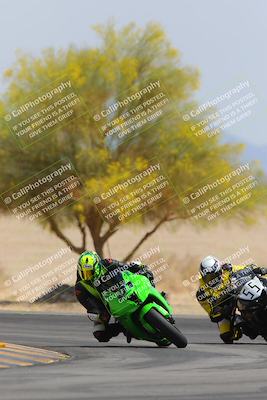 media/Apr-12-2025-Race Pace (Sat) [[9230add55f]]/Vested/6-Turn 4 Tree of Life (115pm)/